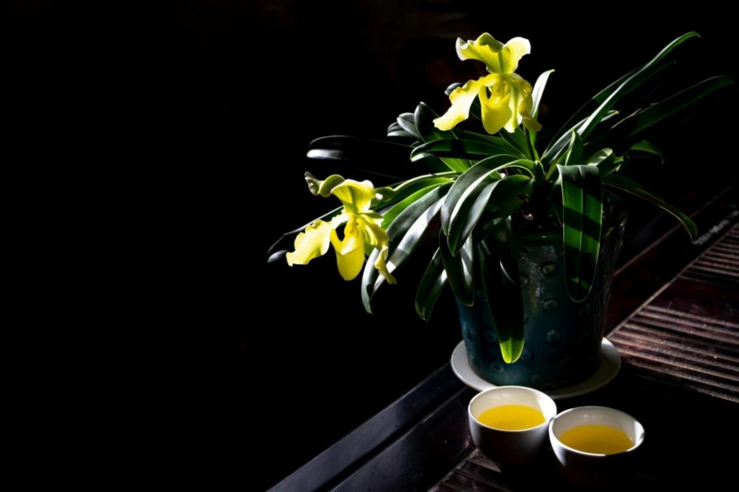 Composition florale traditionnelle européenne