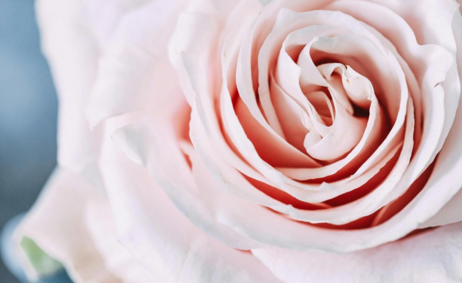 Équipe pédagogique travaillant sur arrangements floraux