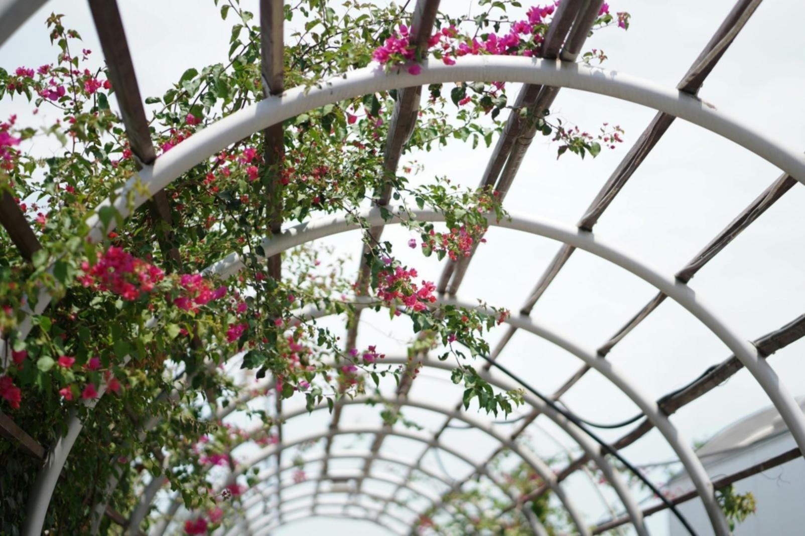 Atelier de floristerie avec arrangements floraux européens